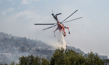 Φωτιά στην Αλεξανδρούπολη: Νέο 112 για εκκένωση τριών οικισμών (vid)