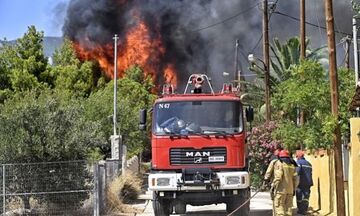 Φωτιές: Νέες αναζωπυρώσεις στην Πάρνηθα - Μέτωπα σε Βοιωτία και Αλεξανδρούπολη