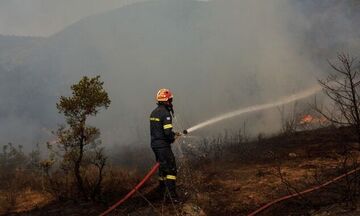 Κεφαλλονιά: Υπό κράτηση εποχικός πυροσβέστης που φέρεται να προκάλεσε πυρκαγιές