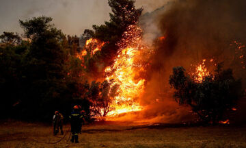 Πτολεμαΐδα: Φωτιά σε πευκοδάσος - Συναγερμός στην Πυροσβεστική