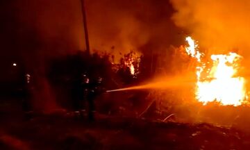 Φωτιά στην Εύβοια: Σε δύσβατο σημείο - Δεν απειλούνται οικισμοί