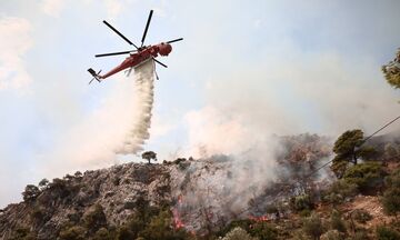 Φωτιά τώρα στο Γραμματικό – Επιχειρούν και εναέριες δυνάμεις