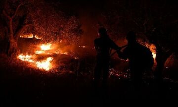 Φωτιές: Κι άλλη δύσκολη νύχτα στον Έβρο - Μάχη στην Άνδρο, βελτίωση στην Πάρνηθα