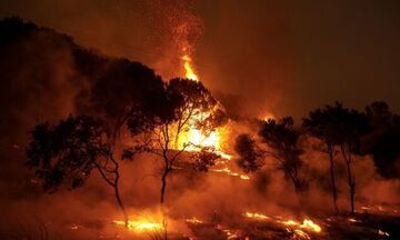 Έβρος: Ανεξέλεγκτη η φωτιά - Πύρινο μέτωπο 10 χλμ. και πολλές εστίες