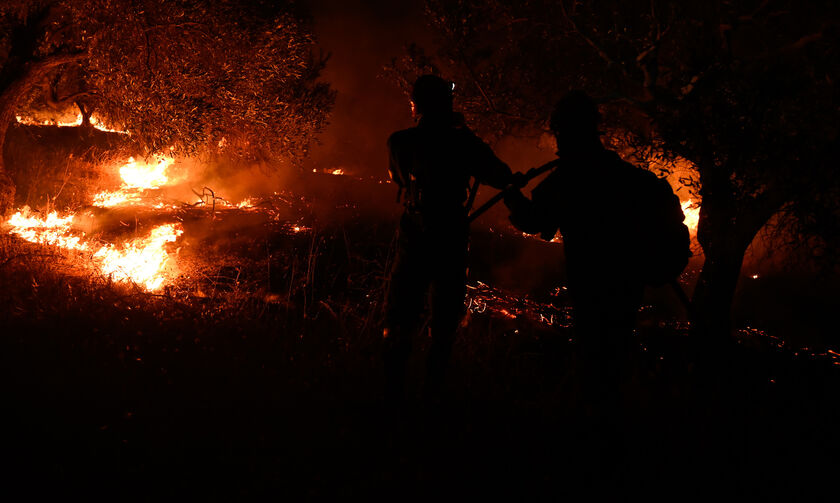Φωτιά στην Αλεξανδρούπολη: Από σήμερα οι αιτήσεις οικονομικής ενίσχυσης των πυρόπληκτων 