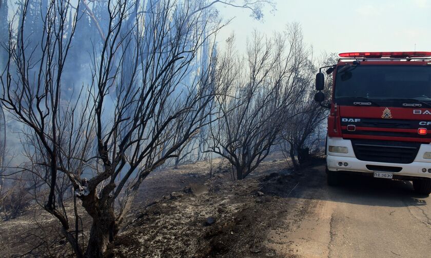 Φωτιά στον Έβρο: Αναζωπύρωση στον Κοτρωνιά - Επιχειρούν εναέρια μέσα (vid)