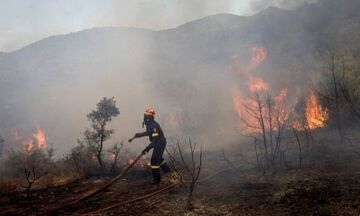 Φωτιές: Μαίνονται τα πύρινα μέτωπα σε Έβρο και Φάρσαλα