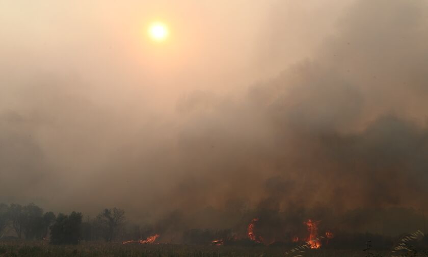 Πύρινη «κόλαση» στον Έβρο: Ενισχύεται η ένταση και η έκταση της φωτιάς