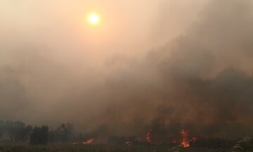 Πύρινη «κόλαση» στον Έβρο: Ενισχύεται η ένταση και η έκταση της φωτιάς