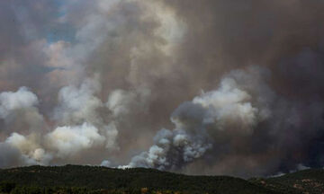 Φωτιά στον Έβρο: Καίγεται ο μικρός πυρήνας του δάσους της Δαδιάς - Ολοκαύτωμα