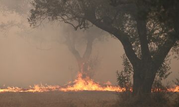 Φωτιά στον Έβρο: Μήνυμα του 112 σε κατοίκους της Λευκίμμης - Απειλούνται σπίτια και στρατόπεδο