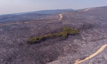 Χωρίς ενεργά μέτωπα η φωτιά στον Έβρο - Στάχτη 935.000 στρέμματα