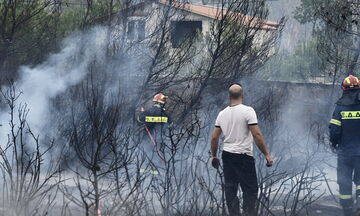 Κοντά σε οικισμό η φωτιά στη Σταμάτα: Μάχη για να μην απειλήσει τα σπίτια