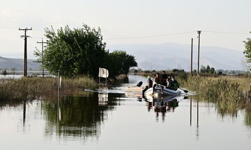 Κακοκαιρία: Στους 11 οι νεκροί - Φόβοι για Πηνειό και Κάρλα (vid)