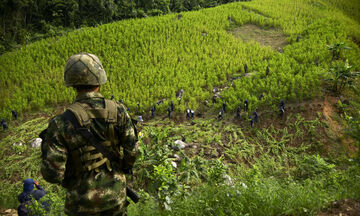 Κολομβία: Nέα ρεκόρ στην καλλιέργεια και παραγωγή κοκαΐνης το 2022, σύμφωνα με τον ΟΗΕ
