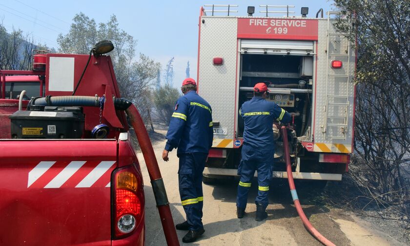 Ξέσπασε φωτιά στη Φθιώτιδα - Επιχειρούν και εναέρια μέσα 