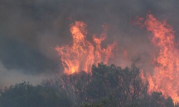 Πυρκαγιές: Νέες καταβολές πρώτης αρωγής ύψους 500.000 ευρώ προς τους πληγέντες 