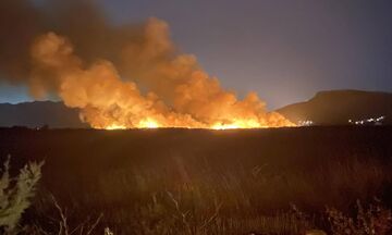 Μαραθώνας: Σε εξέλιξη φωτιά στο Σχοινιά - Σταμάτησαν τα εναέρια μέσα