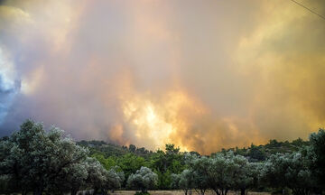 Κρήτη: Φωτιά στα Ανώγεια - 43 πυρκαγιές σε ένα 24ωρο σε όλη την Ελλάδα