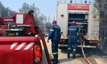 Πυρκαγιά σε δασική έκταση στην Εύβοια - Καίει κοντά σε οικισμό