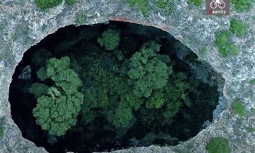 Στην Μαύρη Τρύπα κρύβεται ένα καταπράσινο δάσος (vid)