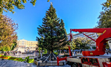 Χριστούγεννα: Το απόγευμα η φωταγώγηση του δέντρου στο Σύνταγμα