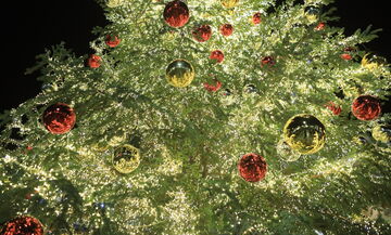 Η φωταγώγηση του χριστουγεννιάτικου δέντρου