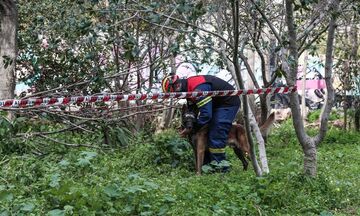 Κρήτη: Εντοπισμός ηλικιωμένου από ειδικά εκπαιδευμένο σκύλο της ΕΜΑΚ