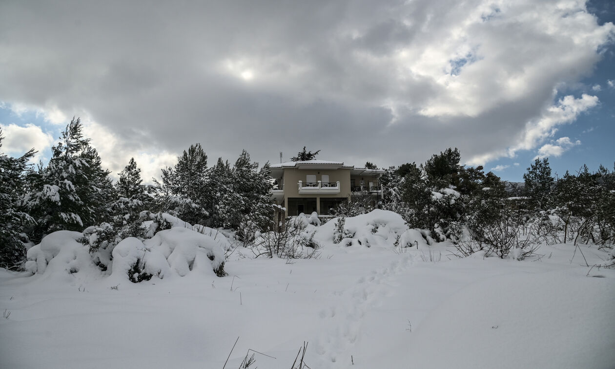 Ξεκίνησε η ψυχρή εισβολή: Επί ποδός ο κρατικός μηχανισμός 