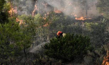 Χιλή: Τουλάχιστον 46 νεκροί από τις πυρκαγιές