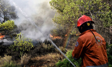 Φωτιά στη Σητεία - Ισχυρές δυνάμεις στο σημείο