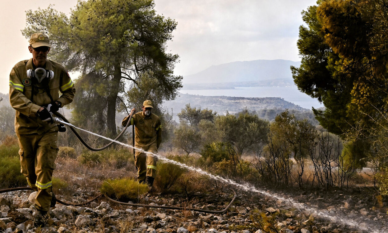 Υπό έλεγχο τέθηκε η πυρκαγιά στη Σητεία 