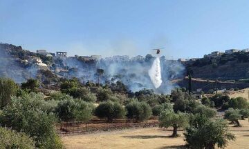 Πενήντα δασικές πυρκαγιές σε μία ημέρα - Ποιες περιοχές κινδυνεύουν