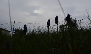Η αφρικανική σκόνη «έπνιξε» την Αθήνα - Απόκοσμες εικόνες από τα Νότια προάστια