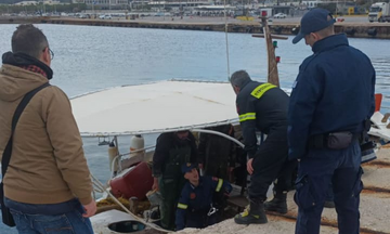 Ραφήνα: Επιχείρηση διάσωσης σκύλου που εντοπίστηκε να κολυμπάει στο λιμάνι