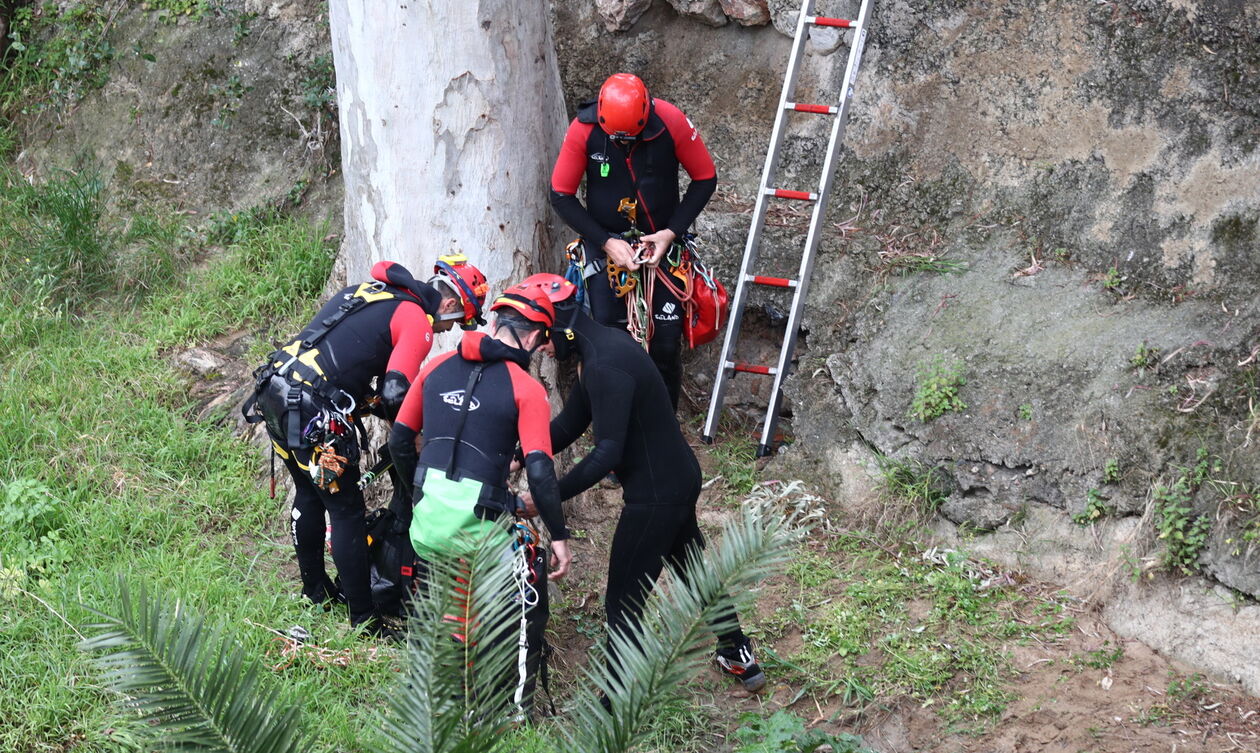 Δράμα: Σε γκρεμό έπεσε ορειβάτης μετά την επίθεση από αρκούδα