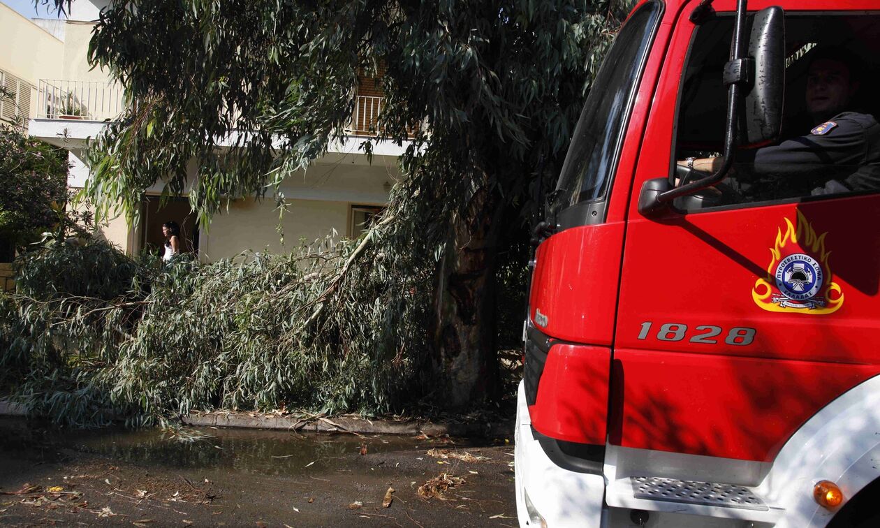Πτώση δέντρου στο Παλαιό Φάληρο