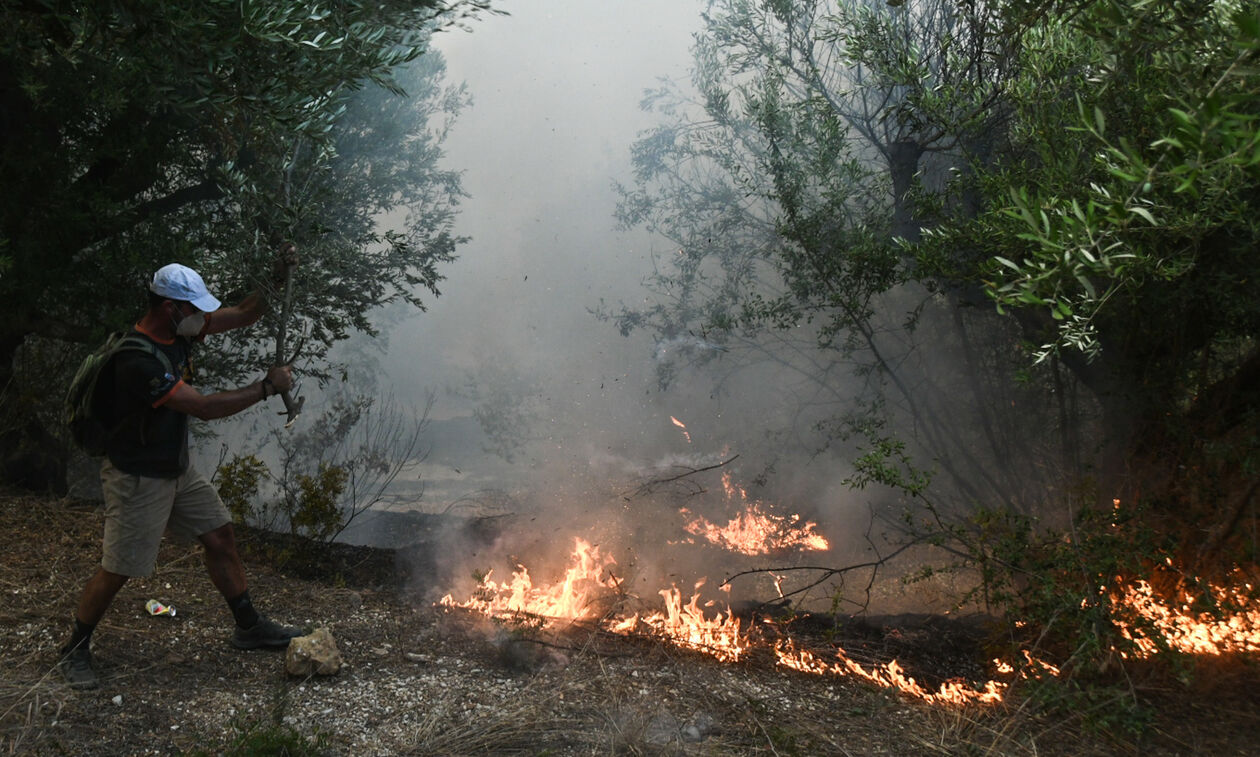 Φωτιά στην Κάτω Αχαΐα: Νέο μήνυμα από το 112 