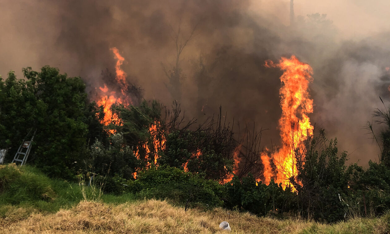 Φωτιές στην Ελλάδα: Πρέβεζα και Αχαΐα τα πιο δύσκολα μέτωπα