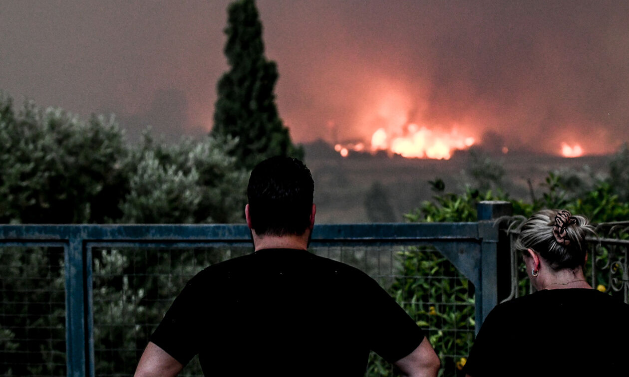 Από δέντρα μπορεί να στερέψουμε, από δικαιολογίες ποτέ...