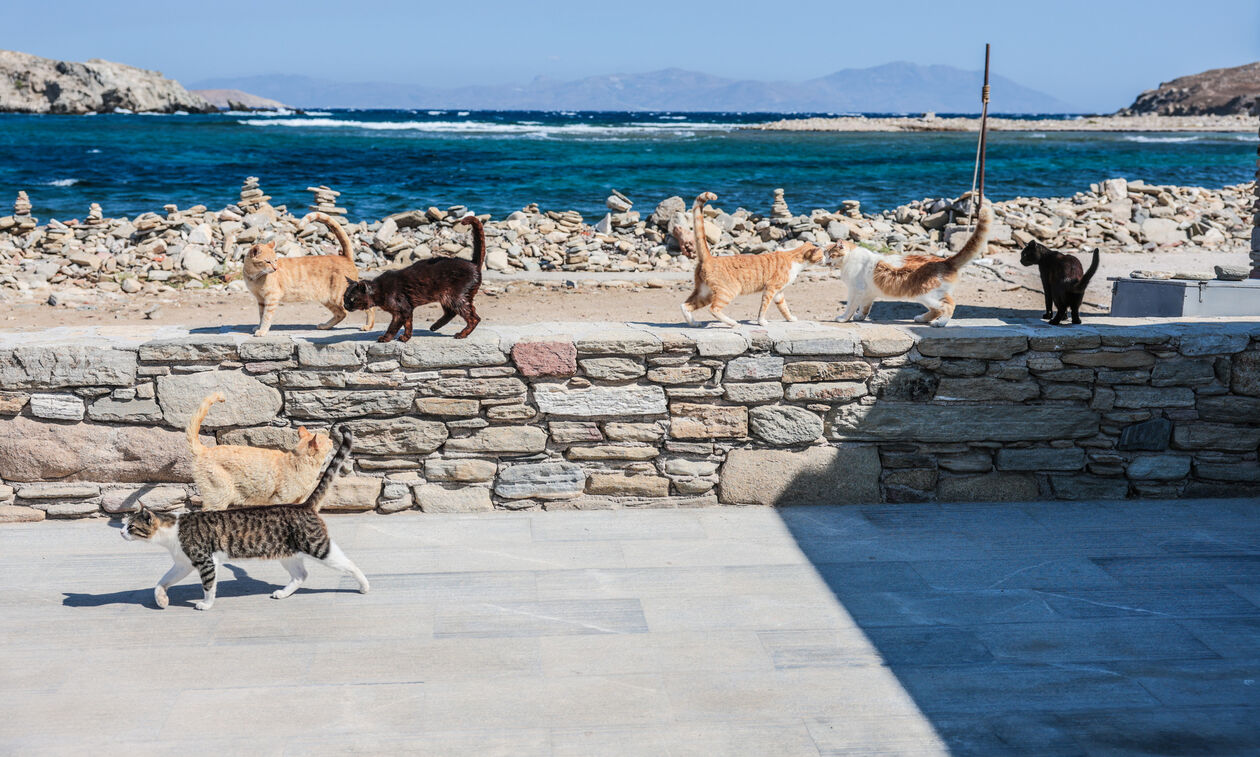 Συναγερμός στο αεροδρόμιο της Μυκόνου
