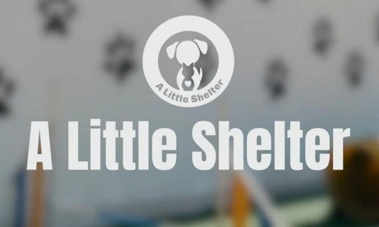 Χορηγός στη φανέλα του Παναθηναϊκού ο οργανισμός «A Little Selter»