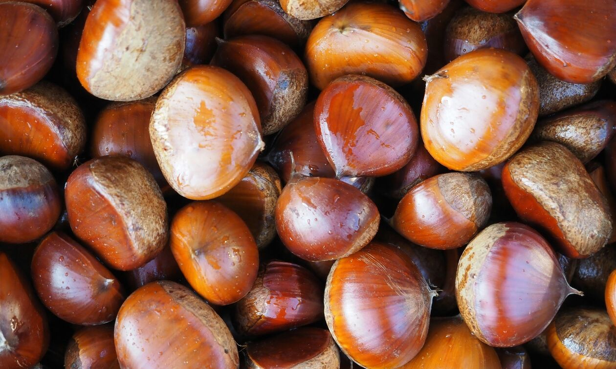 Κάστανα: Μια «γλυκιά» απόλαυση με πολλά οφέλη