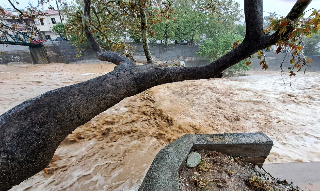 Καιρός: «Στον προθάλαμο του χειμώνα από τις 4 Δεκεμβρίου» - Ραγδαίες βροχές προβλέπει ο Κολυδάς
