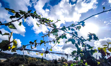 Καιρός: Αίθριος με παροδικές νεφώσεις