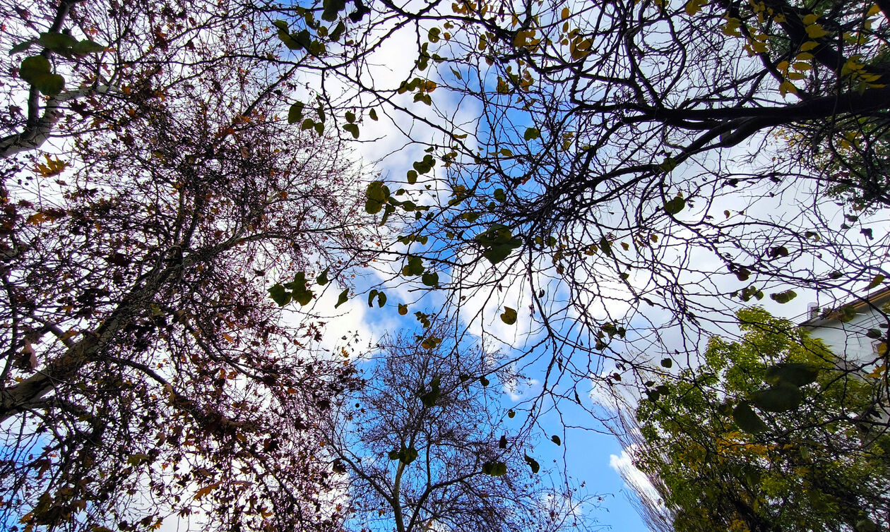 Καιρός: Μικρή άνοδος της θερμοκρασίας με τοπικές νεφώσεις 