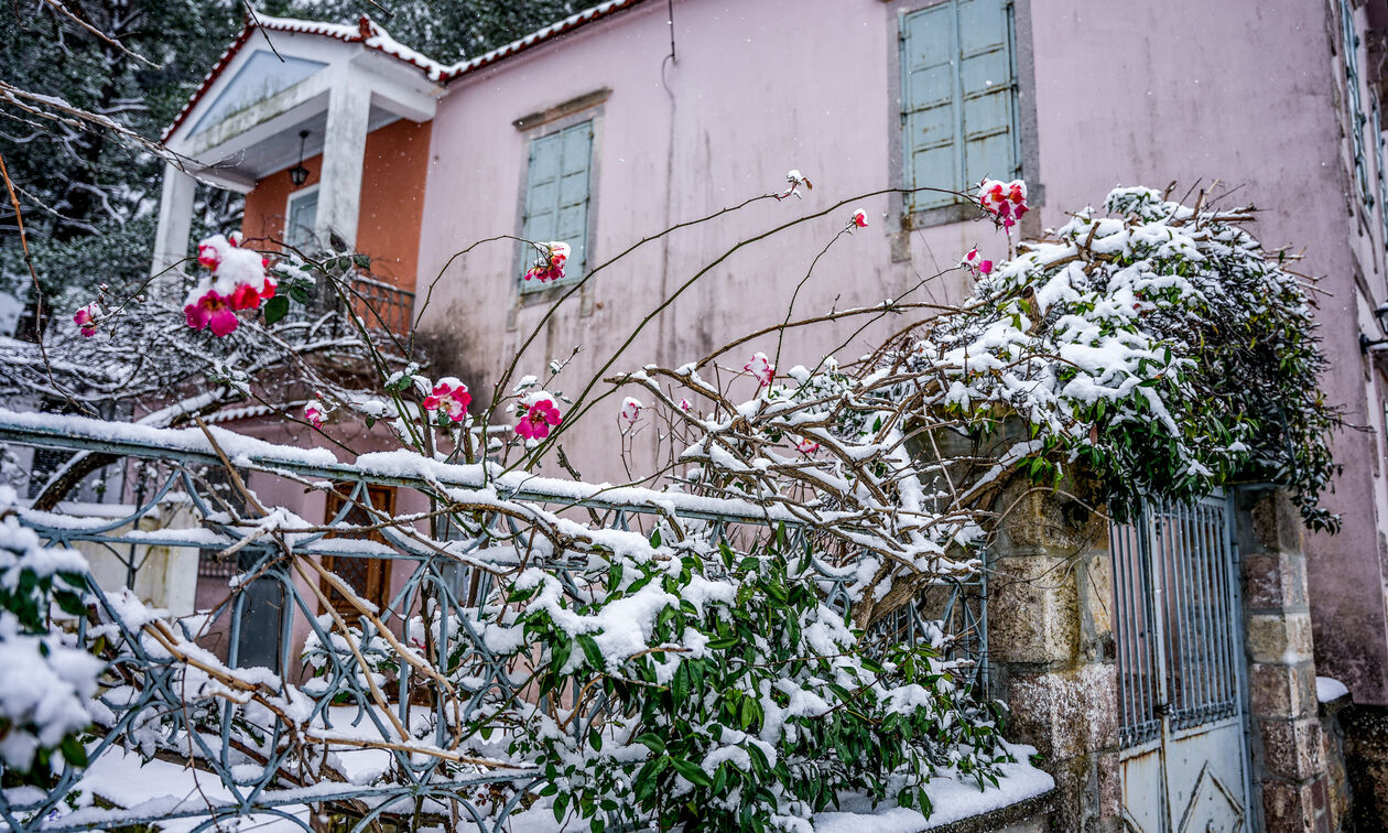 Καιρός: Έρχεται τετραήμερο ουκρανικό ψύχος – Χιόνια σε χαμηλά υψόμετρα και ισχυροί βοριάδες