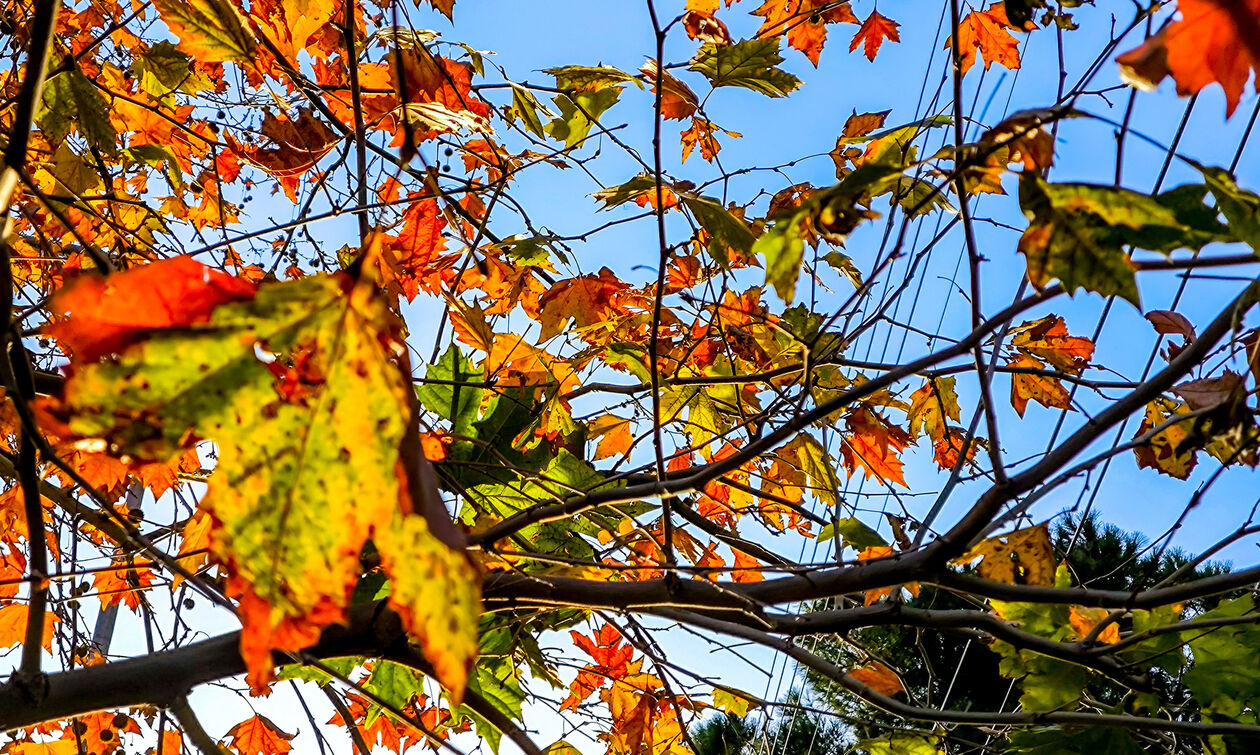 Καιρός: Νεφώσεις παροδικά αυξημένες με πτώση της θερμοκρασίας