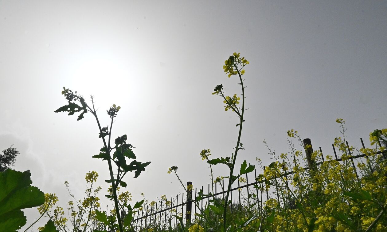 Καιρός: Παροδικά αυξημένες νεφώσεις με τοπικές βροχές