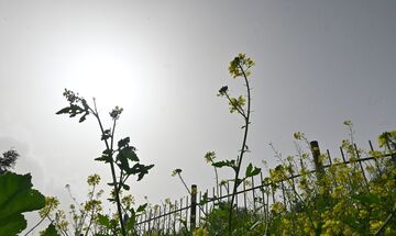 Καιρός: Παροδικά αυξημένες νεφώσεις με τοπικές βροχές